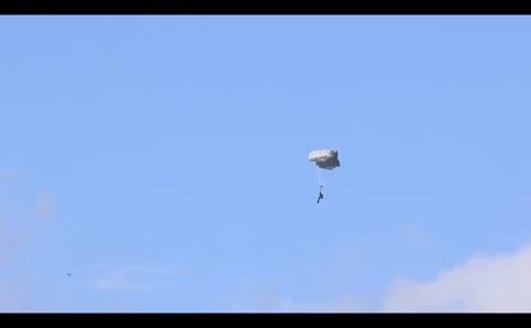 Paratrooper Training of the Self-Defense Forces Video stock 333184704
