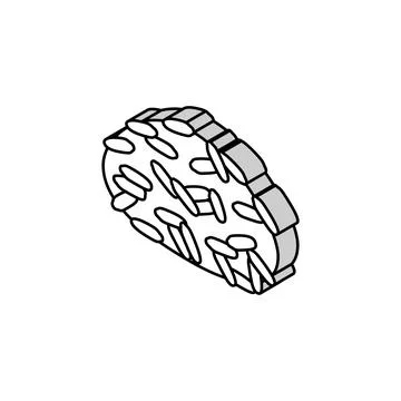 Parboiled rice isometric icon vector illustration Stock Illustration