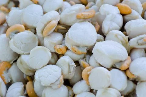 Parboiled Scallops Stock Photos