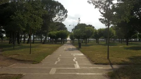 Parc Agulla path way one point perspective afternoon fuga camino road 写真素材