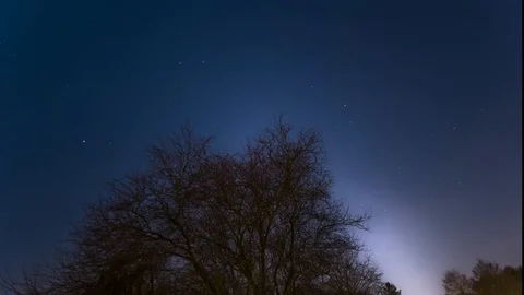 Parc Berthrand Geneva 動画素材 87844394