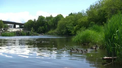 Parc des Chutes Stock Footage 21829210