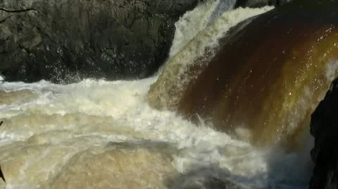PARC DES CHUTES Stock Footage 21931941