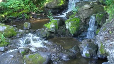 PARC DES CHUTES Stock Footage 21932731