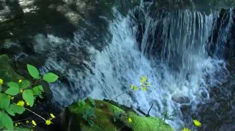 PARC DES CHUTES 스톡 동영상 21933284