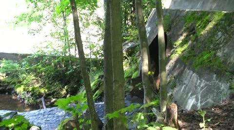 PARC DES CHUTES Stock Footage 21933520