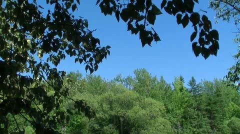 PARC DES CHUTES Stock Footage 21933765