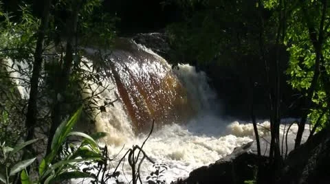 PARC DES CHUTES Stock Footage 21935025