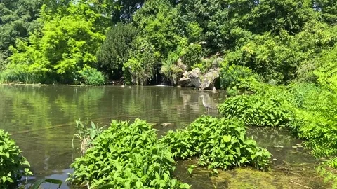 Parc lake in Paris Stock-Footage 340640072
