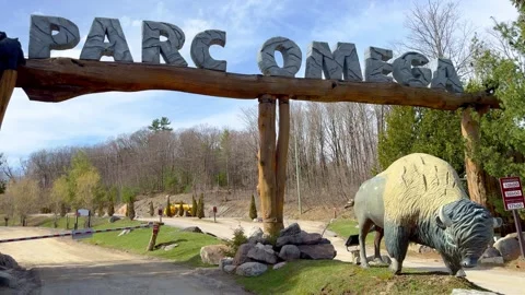 Parc Omega in Quebec Canada - OTTAWA, CANADA - APRIL 19, 2024 Stock Footage 274461579