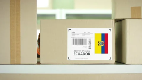 Parcel from Ecuador in a postal service storage Video stock 146524914