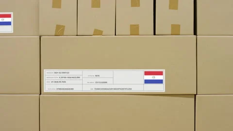 Parcel with MADE IN PARAGUAY text and flag, production and transportation Stock Footage 139422181