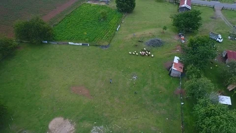 Parcela en campos de Puerto Montt, Chile Vídeo Stock 125029690