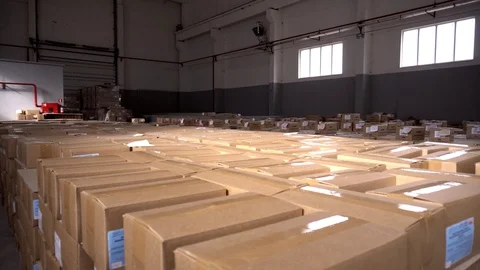 Parcels and parcels in cardboard boxes at the customs control warehouse. The Stock Footage 129685297