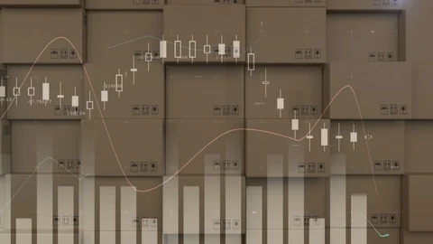 Parcels with data processing Video stock 117187903