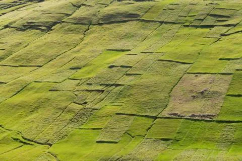 Parcels of land fields patchwork Kvivik Streymoy Faroe Islands Denmark Europe 스톡 사진