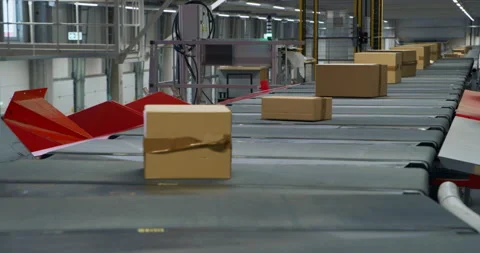 Parcels Moving on Conveyor in Logistics Center Stock Footage 319006718