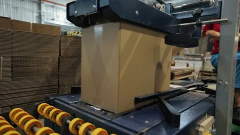 Parcels wait on the conveyor to be shipped. Automation of online shipping Stock Footage 308717955