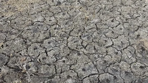 Parched and Cracked Earth Texture from Severe Drought Stock Footage 340156177