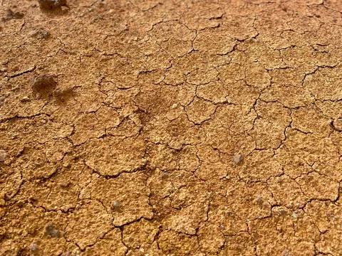 Parched Clay Soil Texture Stock Photos