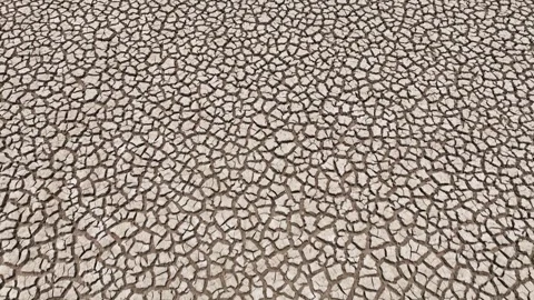 A parched, cracked earth, showcasing the severe effects of drought. Video stock 274375443