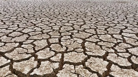 A parched, cracked earth, showcasing the severe effects of drought. Video stock 274375965