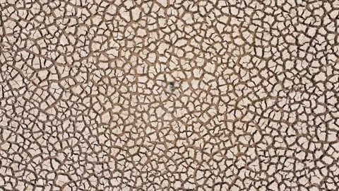 A parched, cracked earth, showcasing the severe effects of drought. Video stock 274376058