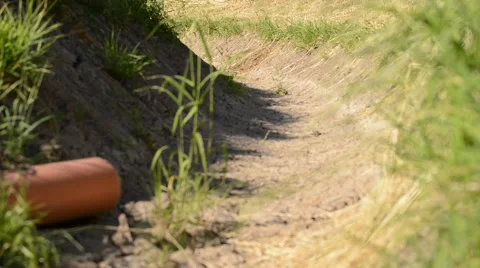 Parched drainage channel with drain pipe, weather is dry,rack focus Video stock 50881742