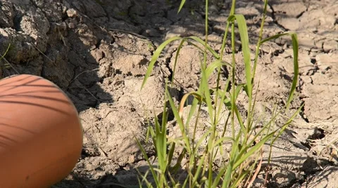 Parched drainage channel with drain pipe, weather is very dry,zoom out Video stock 50882013