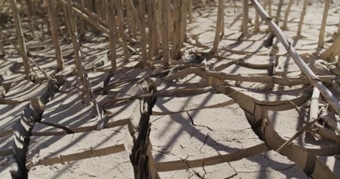 Parched Dry Earth Dirt Stock Footage 238554128