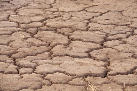 Parched earth Foto stock