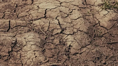 Parched Earth Soil Global Warming, Drought, the Ground Cracks Stock Footage 136783403