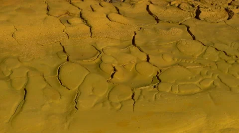 Parched earth yellow Stock Footage 48909653