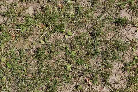 Parched Ground Foto stock