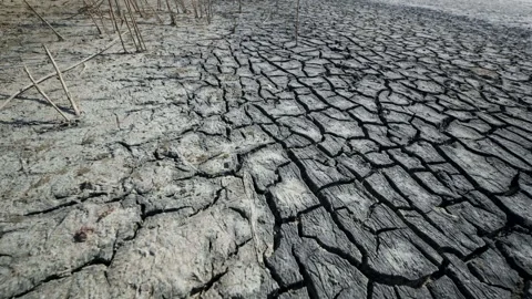 Parched ground revealing drought's harsh impact, cracked terrain symbolizing Video stock 306282044