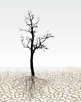 Parched land Stock Illustration