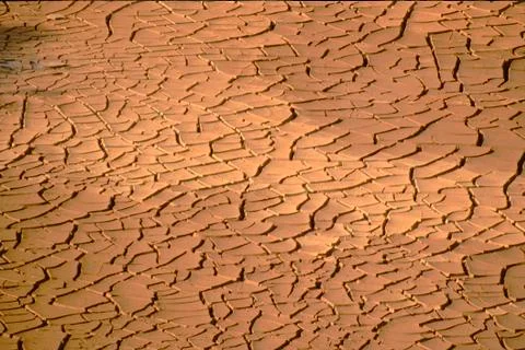 Parched Land Stock Photos