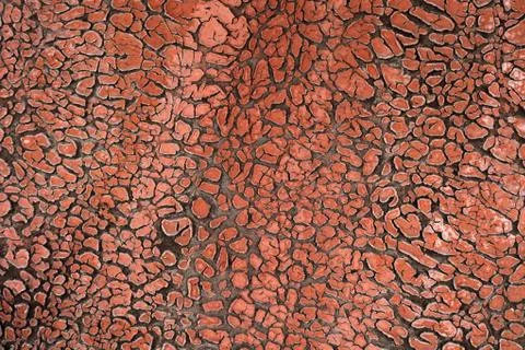 Parched paint texture background Stock Photos