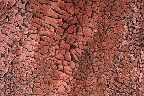 Parched paint texture background Foto stock