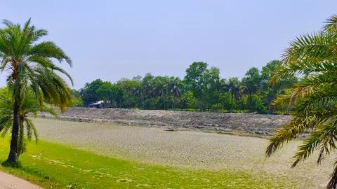 Parched River Channel Cutting Through Verdant Surroundings Stock Photos
