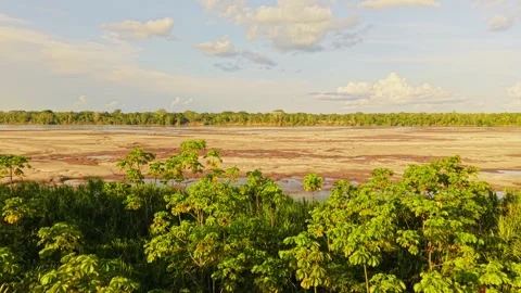 Parched riverbed slicing through lush Amazon rainforest, severe ecological 스톡 동영상 308417952