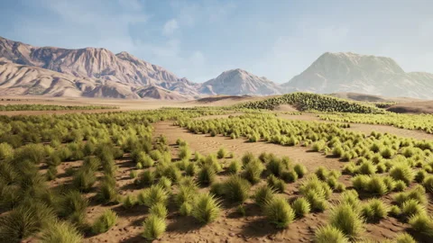 Parched terrain featuring isolated bushes and rugged peaks in sunlight Video stock 331524977