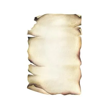 Parchment brown sheet of paper with old torn and curled edges. Hand drawn Stock Illustration