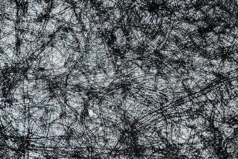 Parchment paper texture under the microscope with a magnification of 40 times Photos