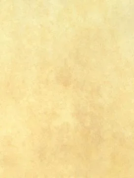 Parchment texture background Stock Illustration