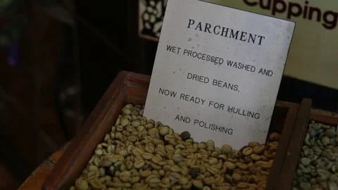 Parchment washed coffee beans Stock Footage 71231252