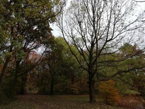 Parck dortecht Stock Photos