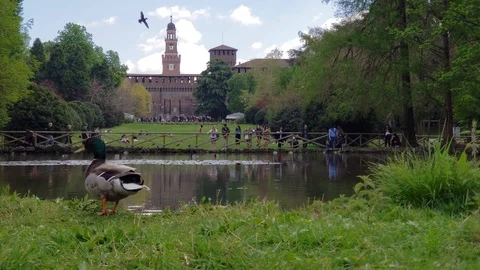 Parco Sempione MS Stock-Footage 122245063