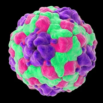 Parechovirus, illustration Stock Illustration