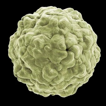 Parechovirus, illustration Stock Illustration